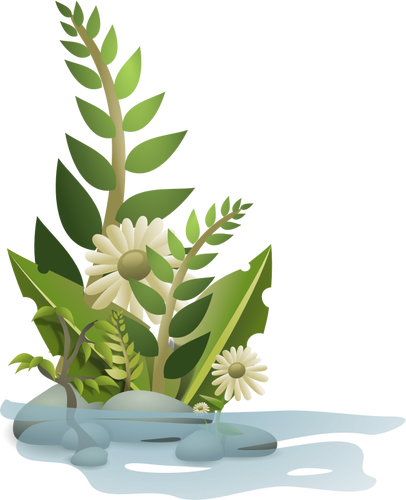 Vector graphics of selection of plants in water