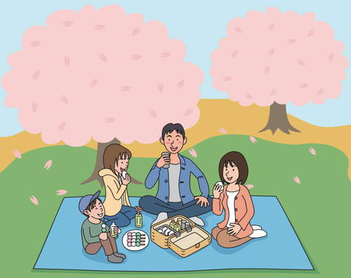 KirsebÃ¦rtre blomstrer piknik