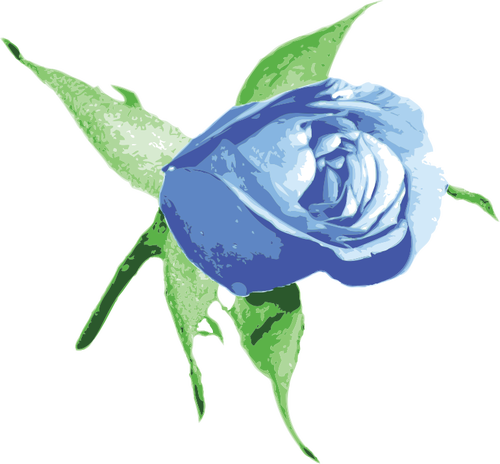 Gambar vektor mawar biru