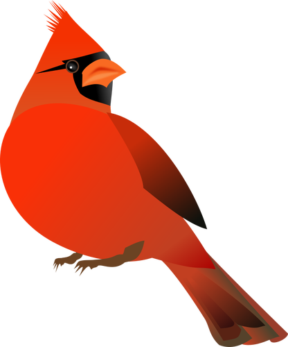 Kardinal merah