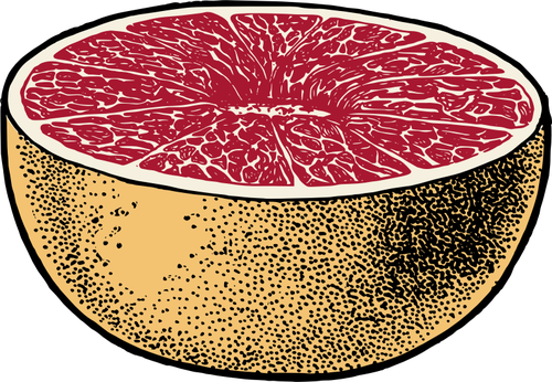 Image vectorielle de pamplemousse rouge coupÃ©s en deux