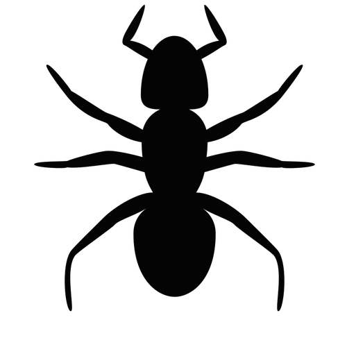 Ant-Vektor-silhouette