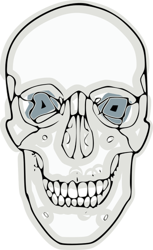 Grafica vectoriala de craniu uman digitalÄƒ