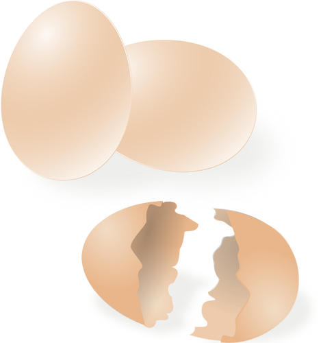 Broken and whole egg shell vector drawing