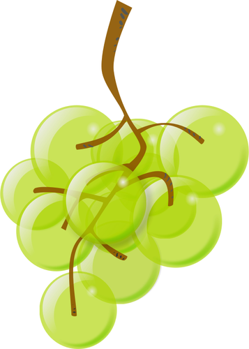 Grafis vektor anggur hijau semi-transparan