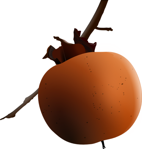 Vector afbeelding van abrikoos