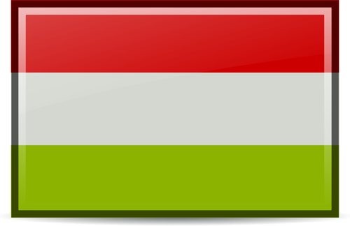 WÄ™gierskie flagi