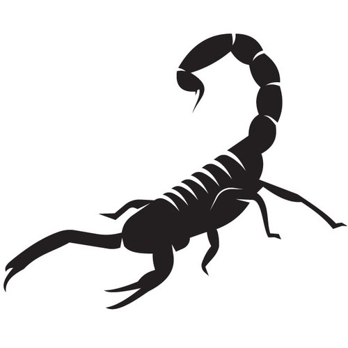 Scorpion sylwetka sztuka tatuaÅ¼u