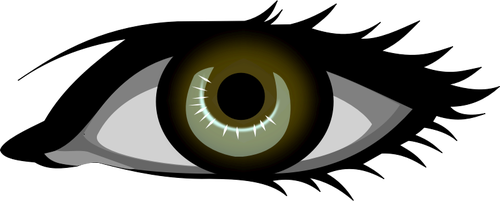 Bruin oog vector afbeelding