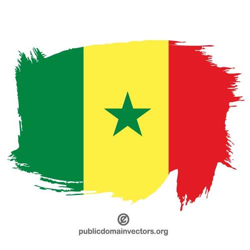 Senegal boyalÄ± bayraÄŸÄ±