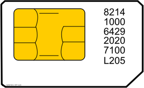 Vektorgrafikk av transportabel nettverk SIM-kort