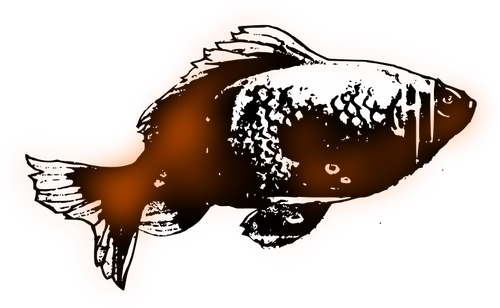 Pesce rosso semplice
