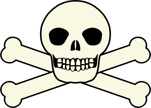 Pirates traditionnels drapeau crÃ¢ne vectoriel une image clipart