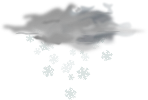 Vector de la imagen del sÃ­mbolo de color PrevisiÃ³n del tiempo para el cielo cubierto de nieve