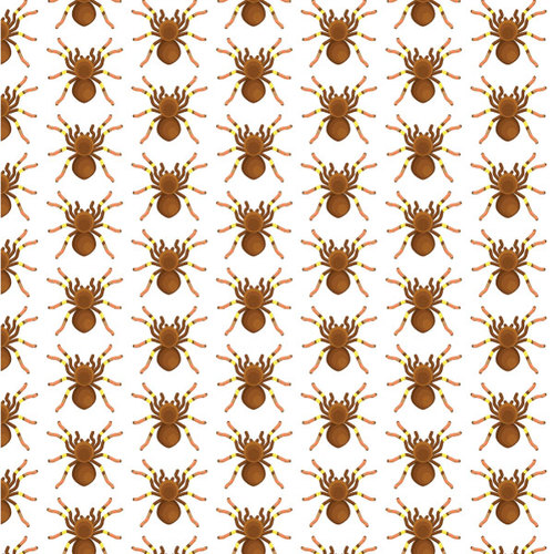 Laba-laba pola mulus wallpaper