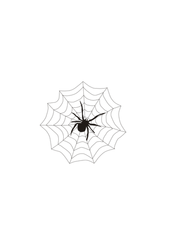 Spindel och web