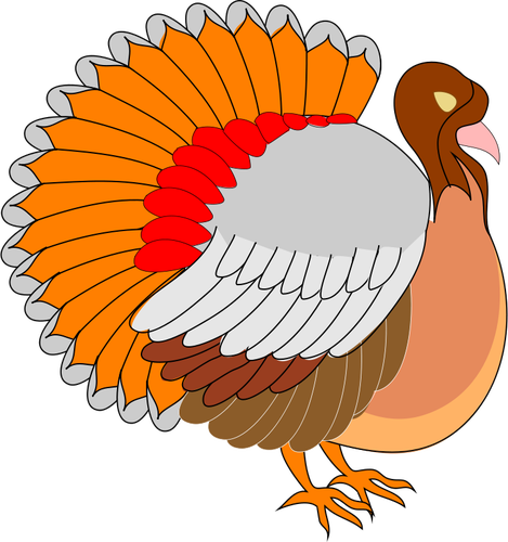 Turkije vector afbeelding