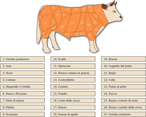 Vector afbeelding van rundvlees snijdt diagram