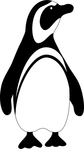 Vektor burung penguin