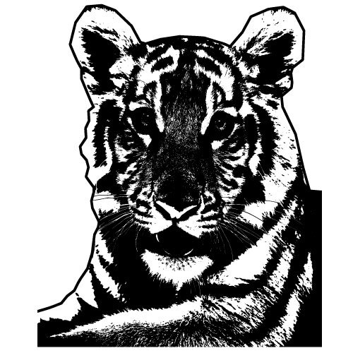 ÄŒernobÃ­lÃ½ obraz tygr