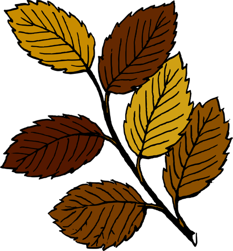 Las hojas de otoÃ±o en imagen vectorial de rama
