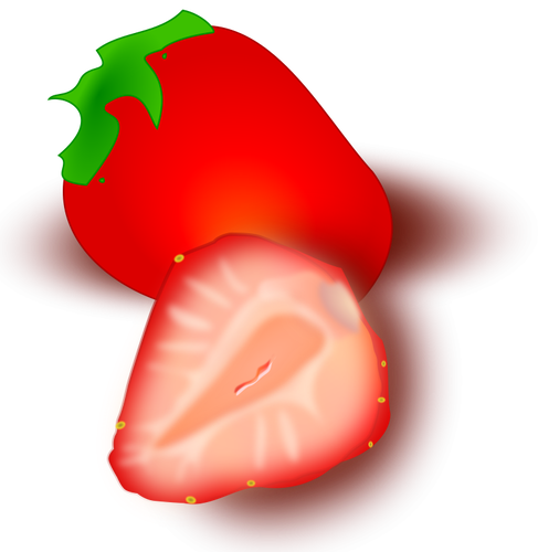Strawberry vektor illustration