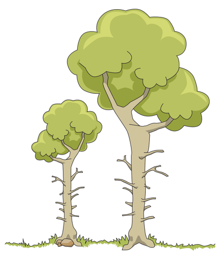 Doi copaci de pÄƒdure