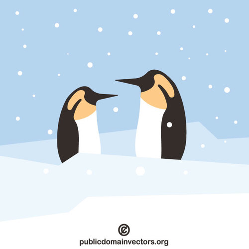 To pingviner