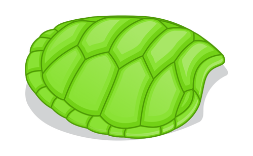 Turtle hov