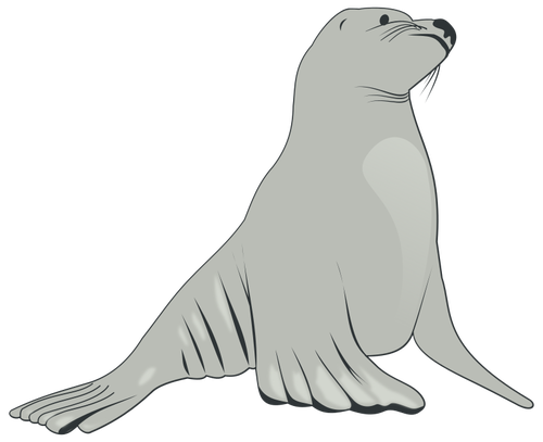 Sea lion vektorbild