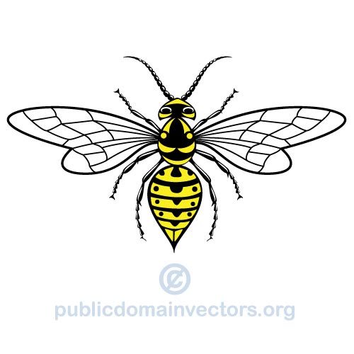 Immagine vettoriale Wasp