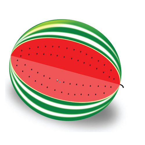 Watermeloen zomer fruit
