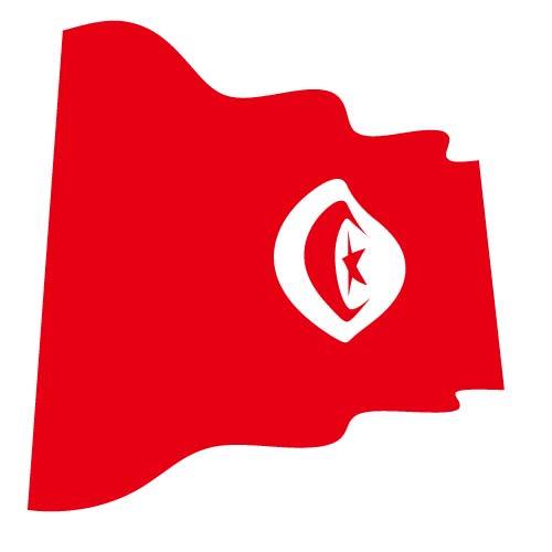 Bandiera tunisina vettoriale