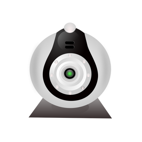 ClipArt vettoriali di tipico webcam a basso costo