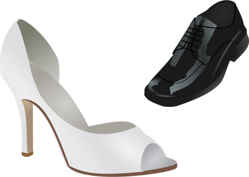 Sex masculin ÅŸi feminin nunta pantofi vector imagine