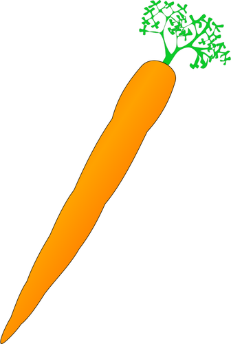 Vektor image av oransje gulrot
