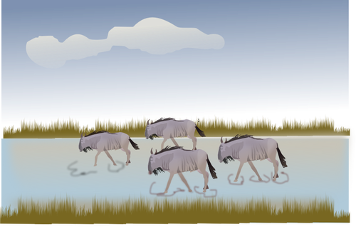 Wildbeest berjalan melalui savannah vektor ilustrasi