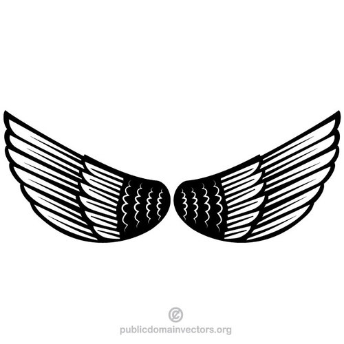 Vleugels veren