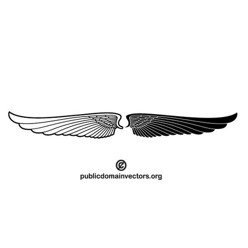 Imagen de alas blanco y negro