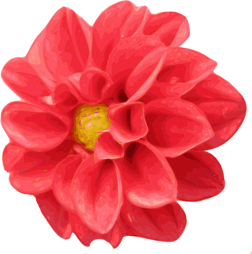Dahlien-Blumen-Vektor