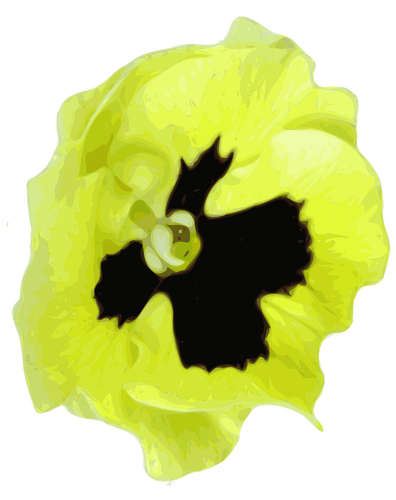 Pansy vector graphics