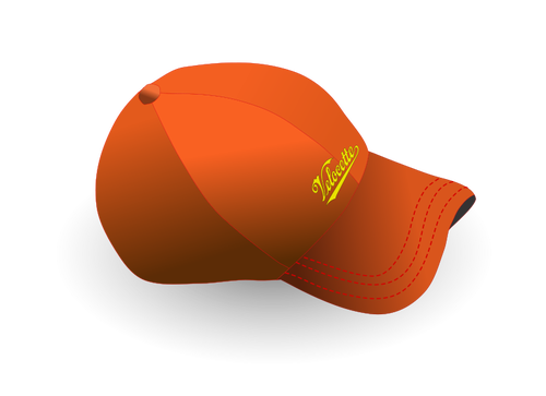 Baseball caps med tekst vektor image
