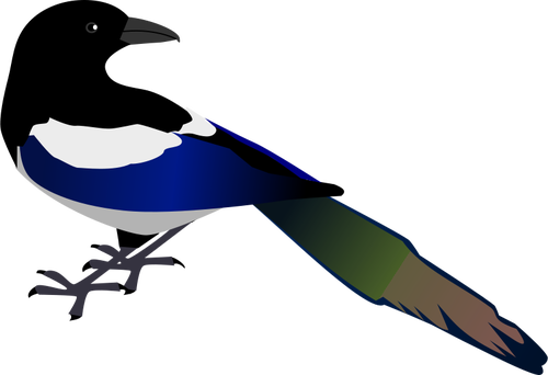 SkjÃ¦re fuglen vektor image