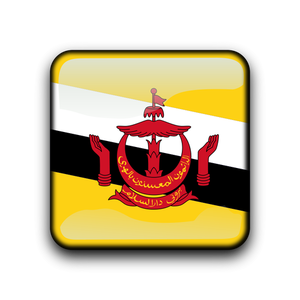Brunei flag vector button