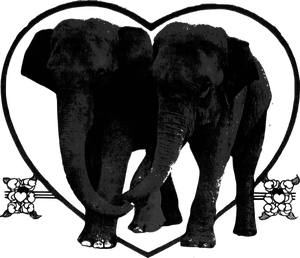 Lover Elephants