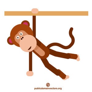 Monkey hanging on a branch