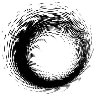 Swirl vector