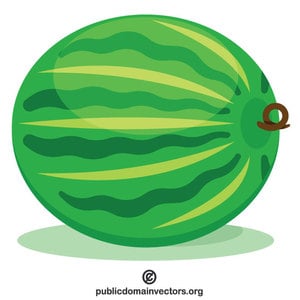 Large watermelon